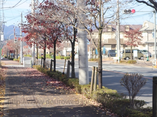 ���H��̎ʐ^