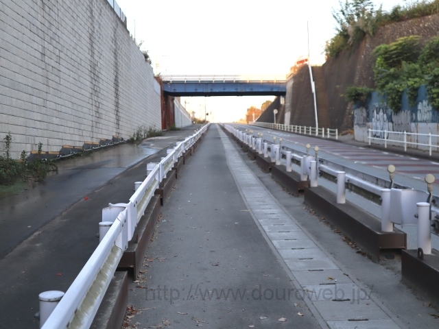 �i�c���̐����̎��Ƌ�Ԃ̎ʐ^