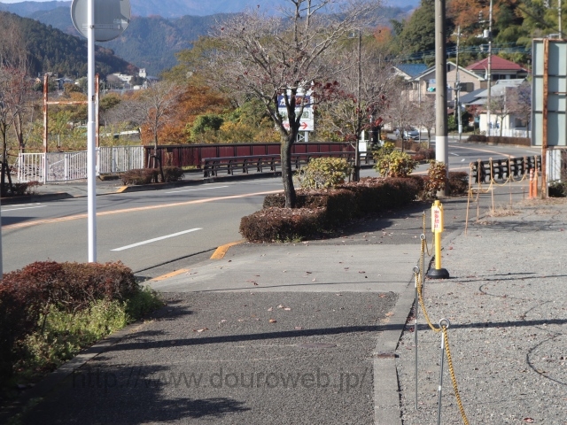 ���Ɓi�O�g��h�ʁj�̎ʐ^