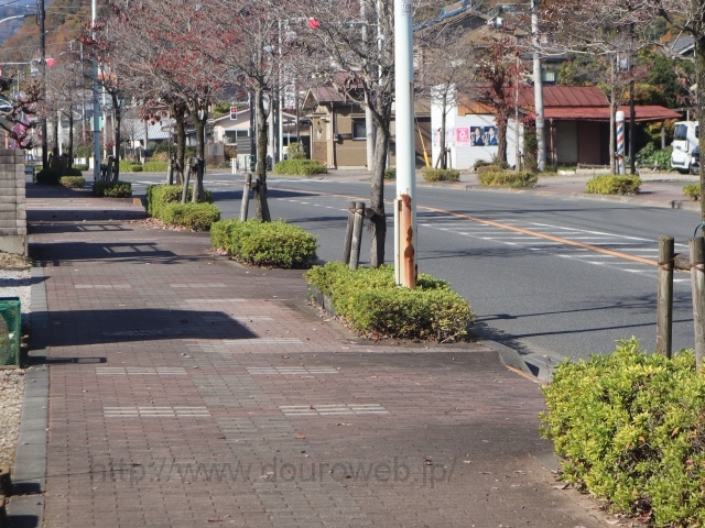 ���Ɓi������j�̎ʐ^