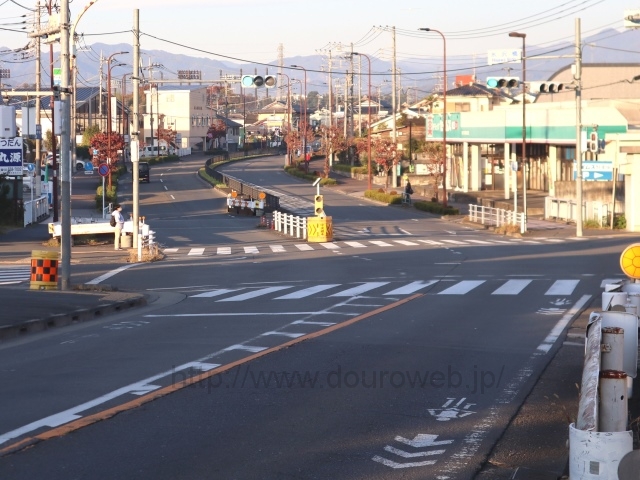 �X�򋴌����_�̎ʐ^