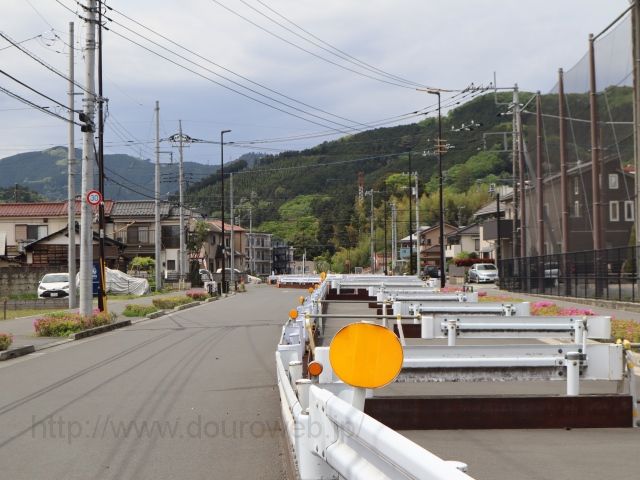 ���Ɓi�V�������hI��II�����j�̎ʐ^