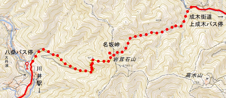都道202号上成木川井線の地図