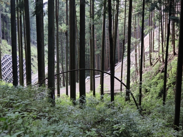林道名坂線の写真