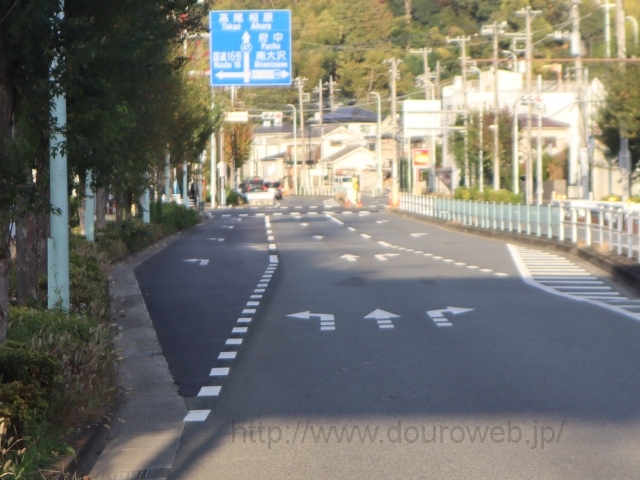 �����j���[�^�E�����������_�̎ʐ^