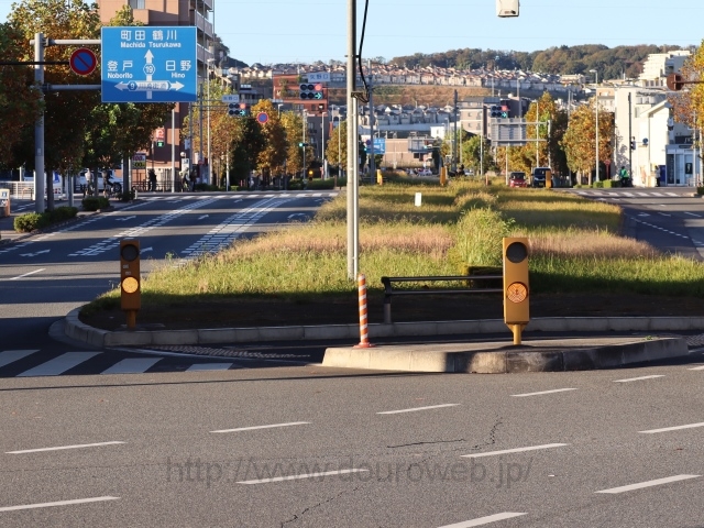 ���������_�̎ʐ^