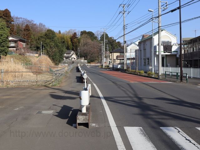 ���Ɓi�{���cI���j�̎ʐ^