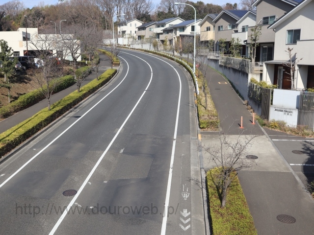 �g���l�����ŋ����ɂȂ��Ԃ̎ʐ^