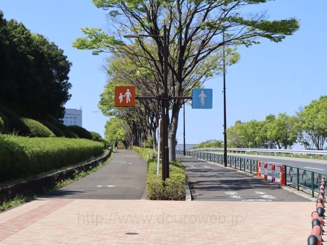 ���ؓc�̎ʐ^