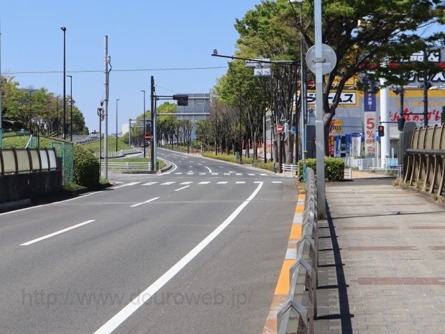 �����_�̎ʐ^