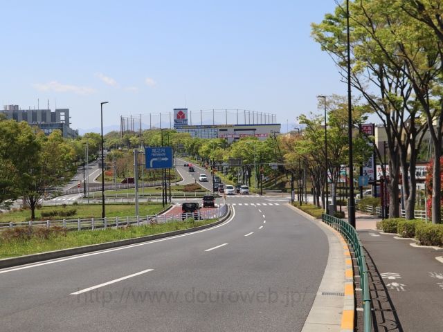 �����_�̎ʐ^