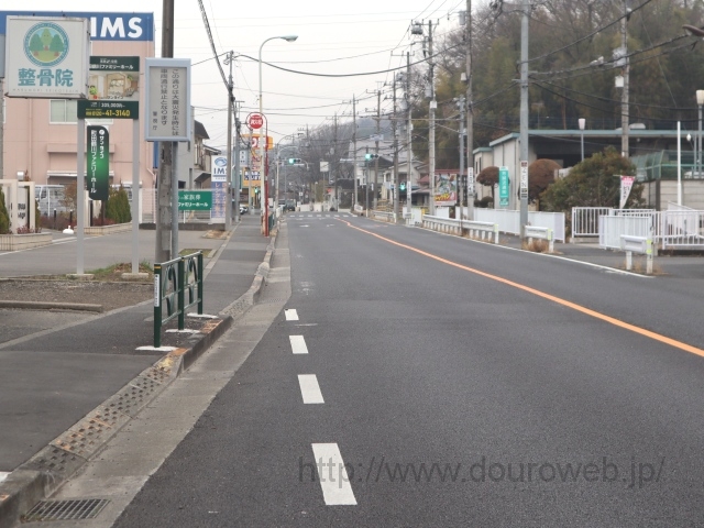 ���Ɓi�����j�N�_�̎ʐ^