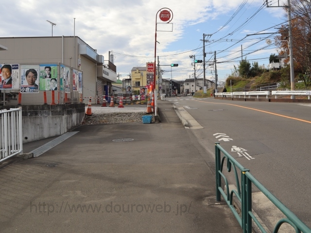 �����_�̎ʐ^