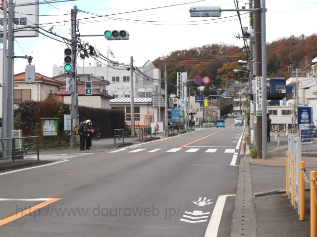 �����_�̎ʐ^