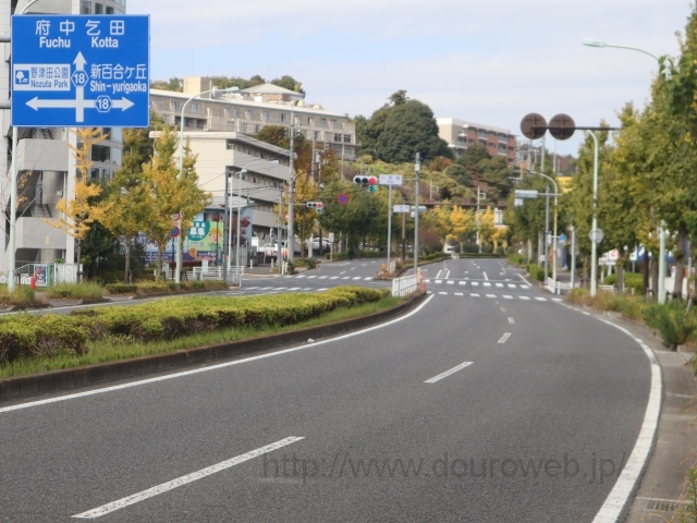 ����H�����_�̎ʐ^