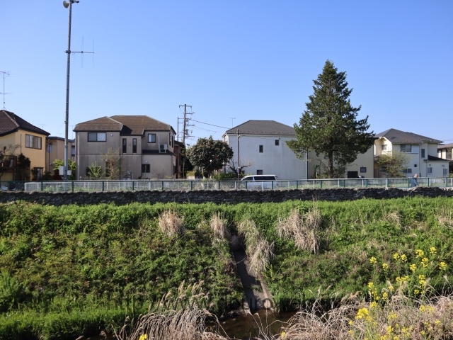 ���Ɓi���R���j�I�_�̎ʐ^