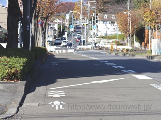 ��Ւ��ݏ��k�����_�̎ʐ^