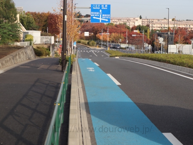 ���Ɓi�����j�̎ʐ^