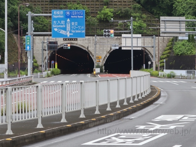 東京サマーランド前交差点の写真