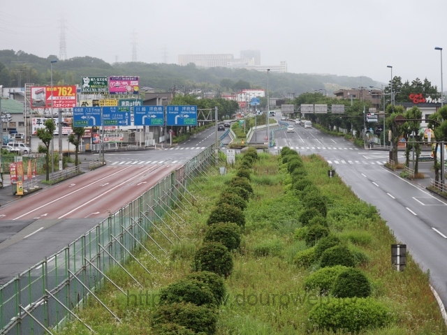 �����������_�̎ʐ^