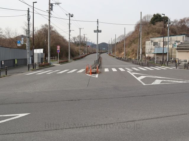 �s�{�s�I�_�A�����N�_�̎ʐ^