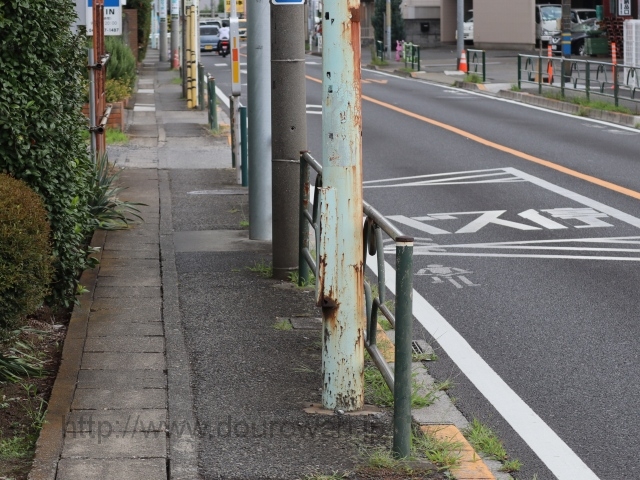 ���Ɓi�v�Đ�j�̌����̎ʐ^