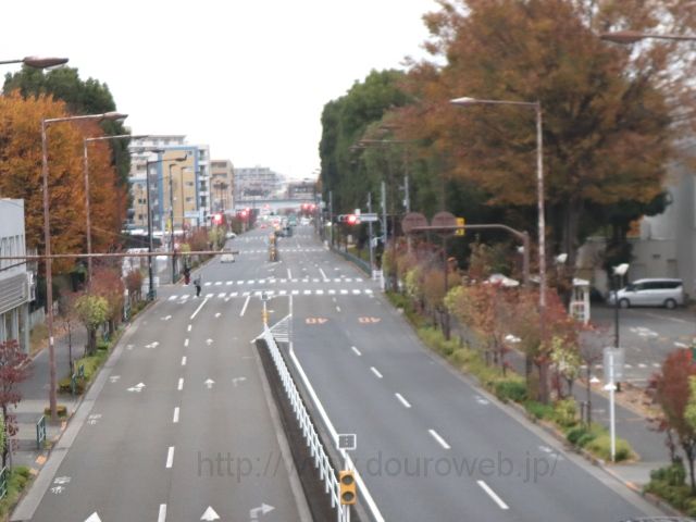 ����w���������_�t�߂̎ʐ^