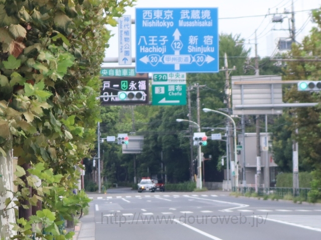 ���Ό������_�̎ʐ^