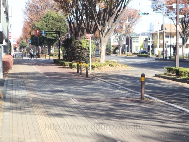 �����i���z�O��j�̎ʐ^