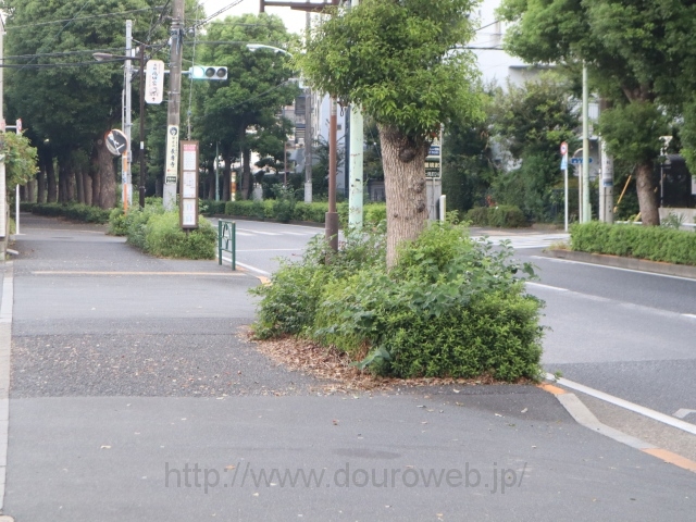 �b�B�X���`���������ԓ��Ԃ̎ʐ^