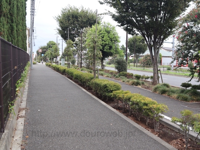 ���Ɓi�������j������3�E4�E13�����`�s�����̎ʐ^