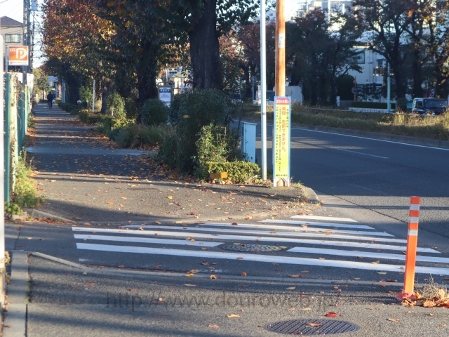 �������꒚�ڌ����_�̓�̕����̎ʐ^