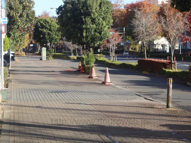 ���ݕa�@�̓�̐�����