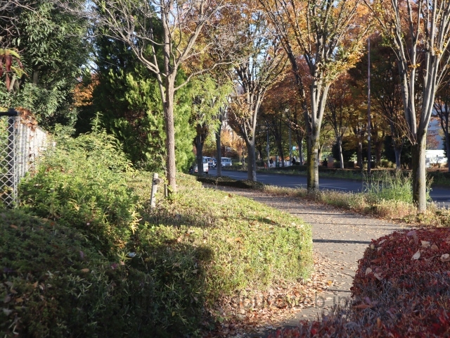 ���ݕa�@�̓�̐�����