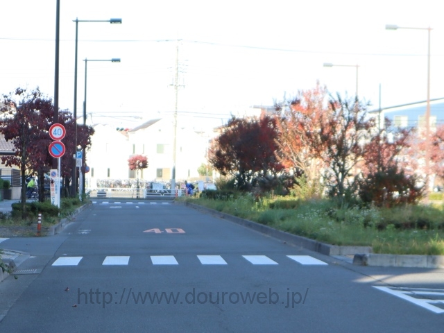 �V�ܓ��s�X�����������I�_�̎ʐ^