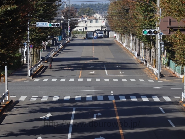 �V�ܓ��s�X�����������I�_�̎ʐ^