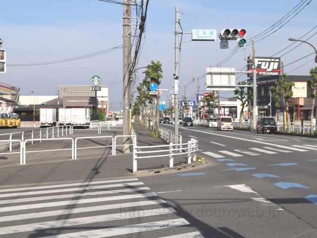 �O�{�|�����_�̎ʐ^