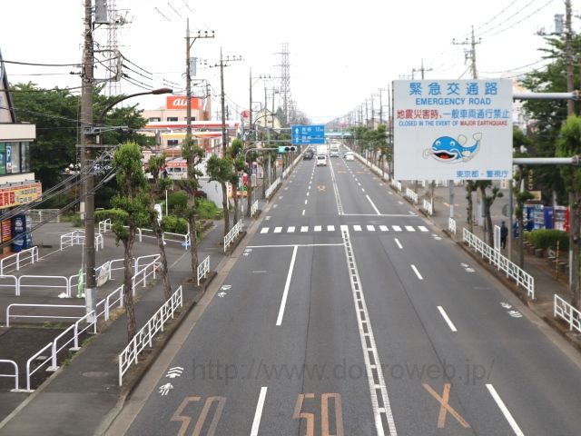 ��4�H��̎ʐ^