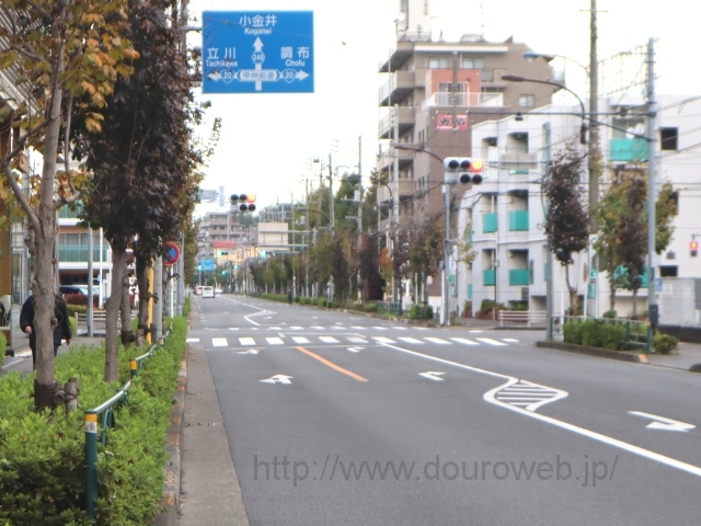 �ᏼ���񒚖ڌ����_�̎ʐ^