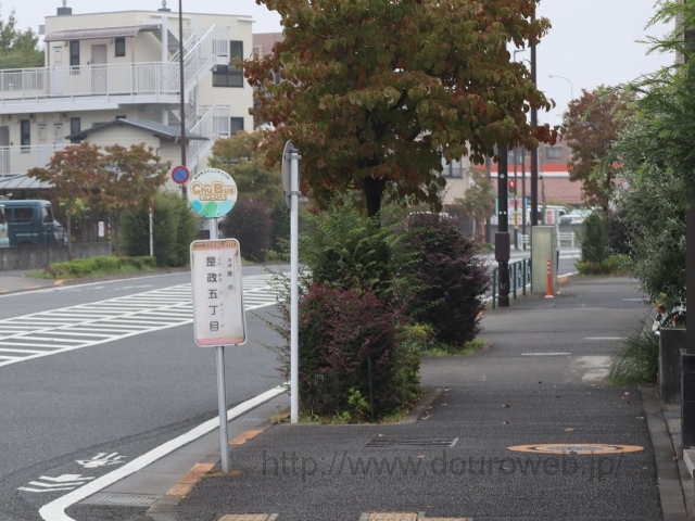 ���Ɓi�����j�̎ʐ^