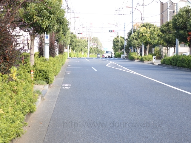 �v�����_�̎ʐ^