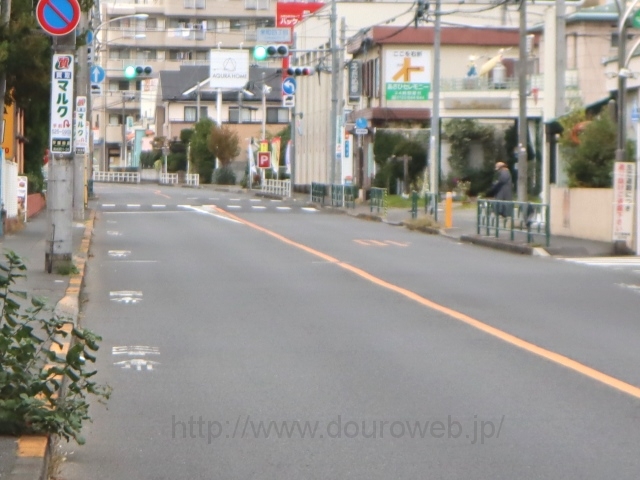 ���E�X���ւ̍����_�̎ʐ^