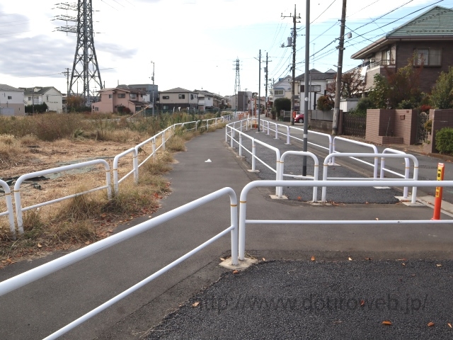 ���Ɓi�{�������j�̎ʐ^