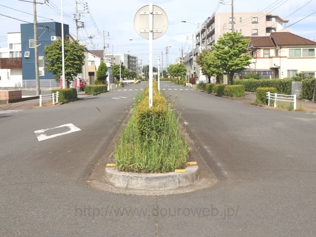 �V�������X�������N�_�̎ʐ^