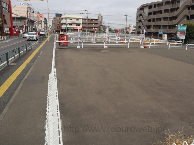 ���Ɓi�{���j�̎ʐ^