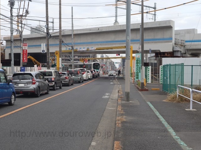 �����V�h�����̂̎ʐ^