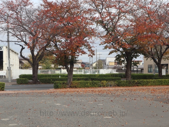 �v�����_�̎ʐ^