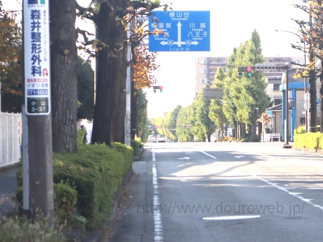 �싴�{�꒚�ڌ����_�̎ʐ^