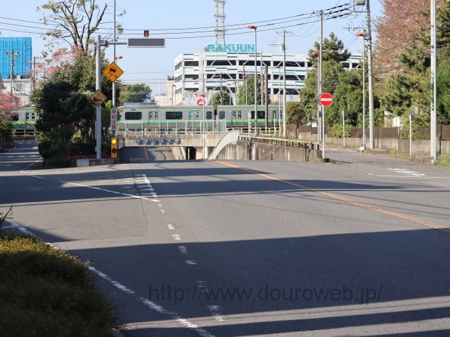 ��|���̌����̎ʐ^